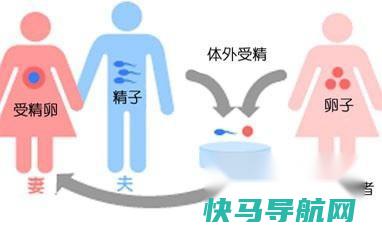捐卵需要注意哪些事项 第2张