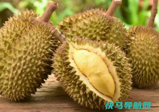 榴莲熟过头是什么样子的？什么样的榴莲肉比较多